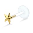 Star Fish Shaped Labrets Push-in LA-754